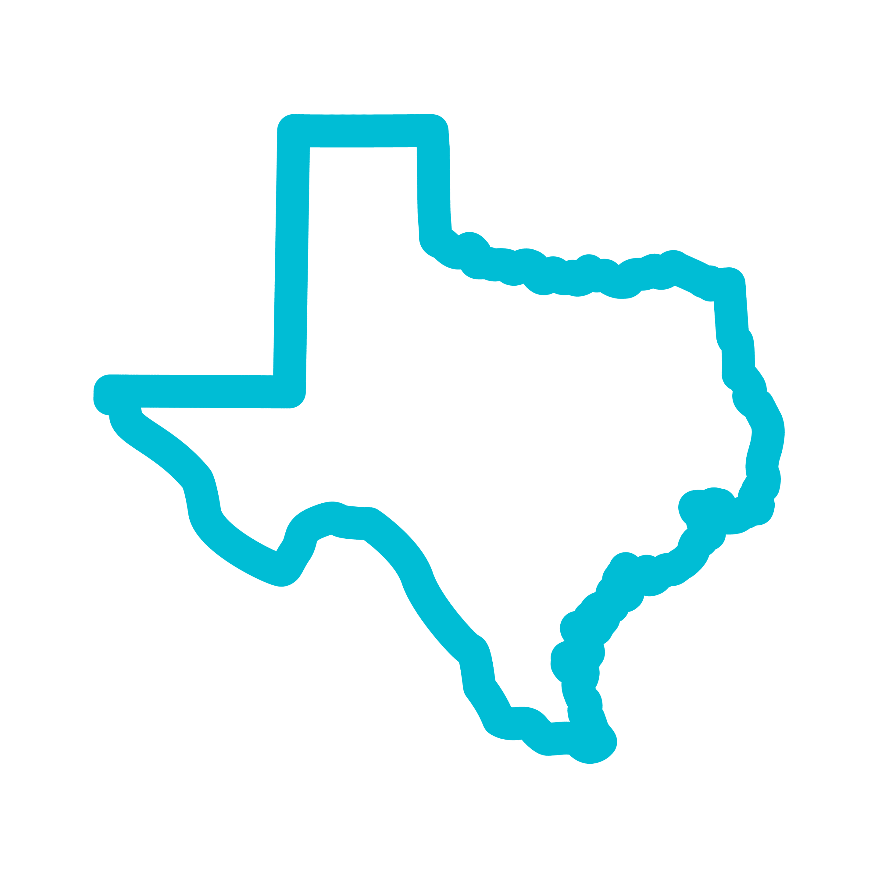 state-compliance_texas Outlined design of Texas